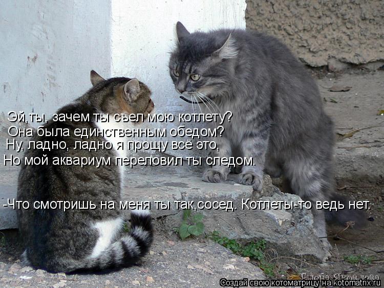 Эй,ты, зачем ты съел мою котлету? Она была единственным обедом? Ну, ладно, ладно я прощу всё это, Но... Котоматрица: Эй,ты, зачем ты съел мою котлету? Она была единственным обедом? Ну, ладно, ладно я прощу всё это, Но мой аквариум переловил ты следом. -Что смо