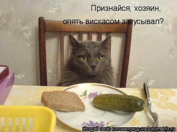 Признайся, хозяин, опять вискасом закусывал?... Котоматрица: Признайся, хозяин, опять вискасом закусывал?