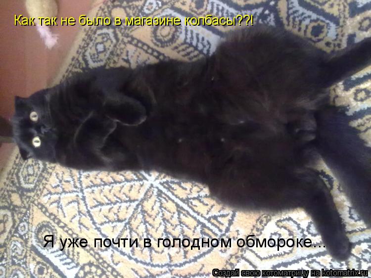 Как так не было в магазине колбасы??! Я уже почти в голодном обмороке...... Котоматрица: Как так не было в магазине колбасы??! Я уже почти в голодном обмороке...