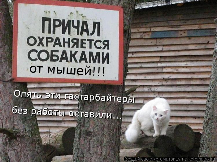 Котоматрица: от мышей!!! Опять эти гастарбайтеры без работы оставили...