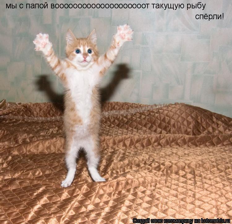 Котоматрица: мы с папой воооооооооооооооооооот такущую рыбу спёрли!