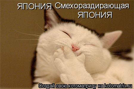 Котоматрица: ЯПОНИЯ ЯПОНИЯ Смехораздирающая