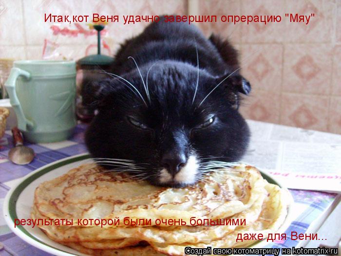 Котоматрица: Итак,кот Веня удачно завершил опрерацию "Мяу"  результаты которой были очень большими даже для Вени...