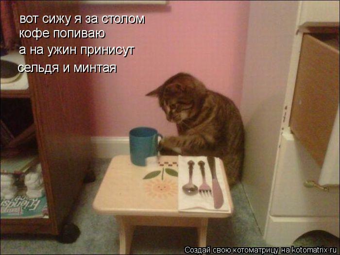 вот сижу я за столом кофе попиваю а на ужин принисут сельдя и минтая... Котоматрица: вот сижу я за столом кофе попиваю а на ужин принисут сельдя и минтая