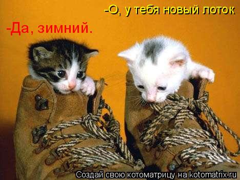 -О, у тебя новый лоток -Да, зимний.... Котоматрица: -О, у тебя новый лоток -Да, зимний.