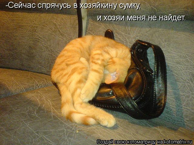 -Сейчас спрячусь в хозяйкину сумку, и хозяи меня не найдет.... Котоматрица: -Сейчас спрячусь в хозяйкину сумку, и хозяи меня не найдет.