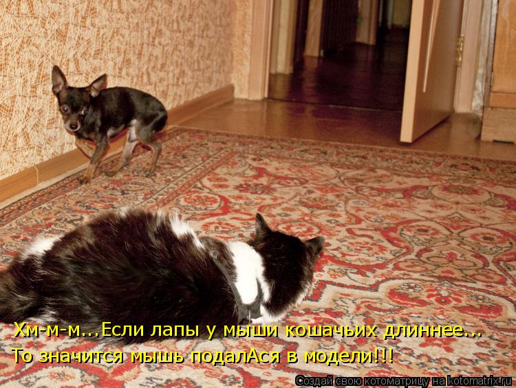 Котоматрица: Хм-м-м...Если лапы у мыши кошачьих длиннее... То значится мышь подалАся в модели!!!