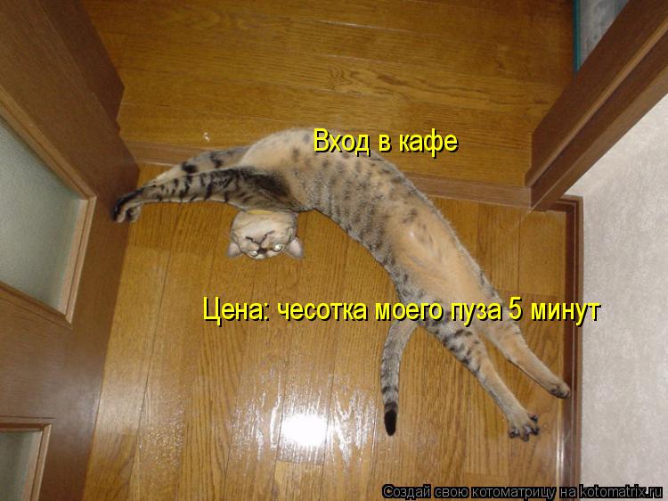 Вход в кафе Цена: чесотка моего пуза 5 минут... Котоматрица: Вход в кафе Цена: чесотка моего пуза 5 минут