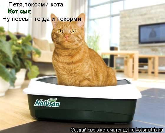 Котоматрица: Петя,покорми кота! Кот сыт. Ну поссыт тогда и покорми