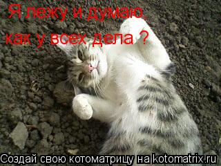 Я лежу и думаю, как у всех дела ?... Котоматрица: Я лежу и думаю, как у всех дела ?