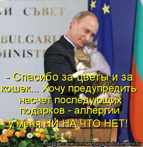 - Спасибо за цветы и за кошек... Хочу предупредить насчет последующих подарков - аллергии у меня НИ Н... Котоматрица: - Спасибо за цветы и за кошек... Хочу предупредить насчет последующих подарков - аллергии у меня НИ НА ЧТО НЕТ!