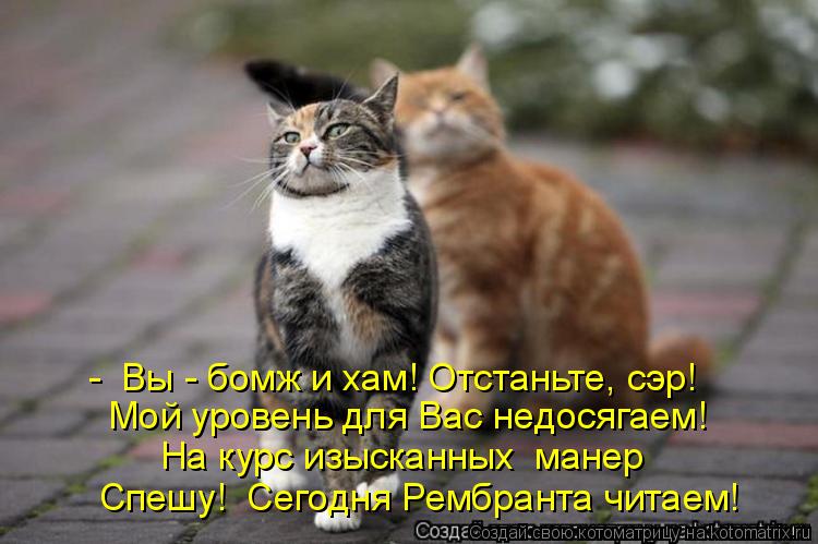 - Вы - бомж и хам! Отстаньте, сэр! Мой уровень для Вас недосягаем! На курс изысканных манер Спешу! ... Котоматрица: - Вы - бомж и хам! Отстаньте, сэр! Мой уровень для Вас недосягаем! На курс изысканных манер Спешу! Сегодня Рембранта читаем!