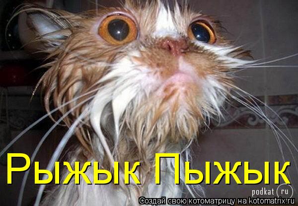 Котоматрица: Рыжык Пыжык