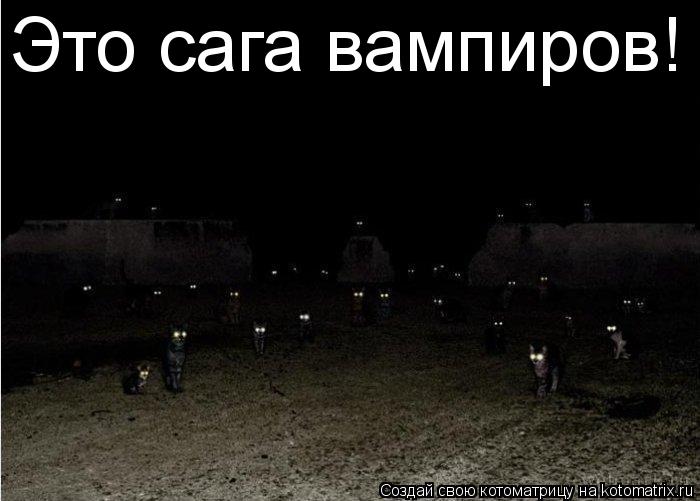 Это сага вампиров!... Котоматрица: Это сага вампиров!