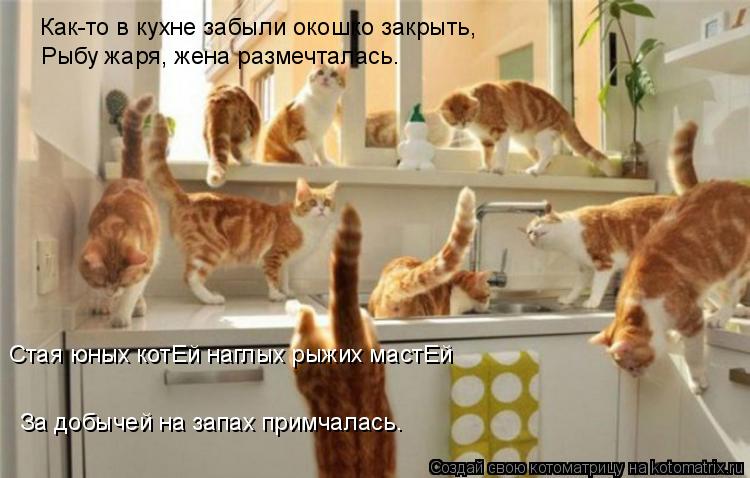 Как-то в кухне забыли окошко закрыть, Стая юных котЕй наглых рыжих мастЕй За добычей на запах примчал... Котоматрица: Как-то в кухне забыли окошко закрыть, Стая юных котЕй наглых рыжих мастЕй За добычей на запах примчалась. Рыбу жаря, жена размечталась.