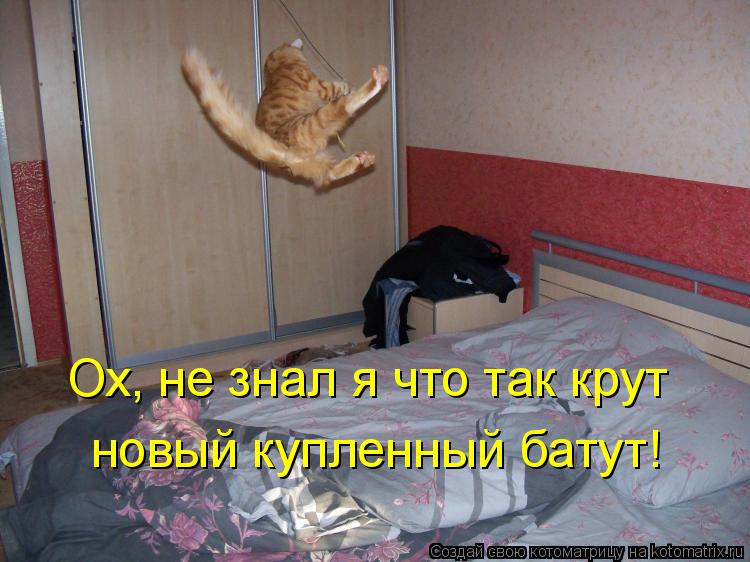 Котоматрица: Ох, не знал я что так крут новый купленный батут!