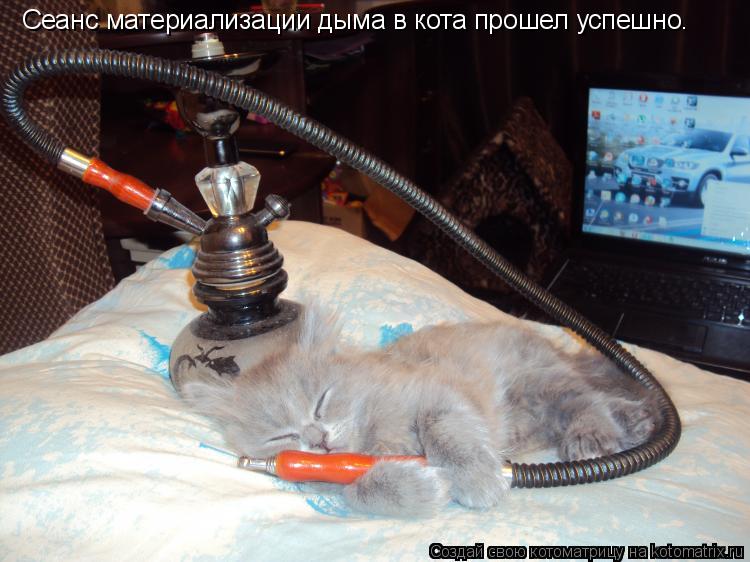 Котоматрица: Сеанс материализации дыма в кота прошел успешно.