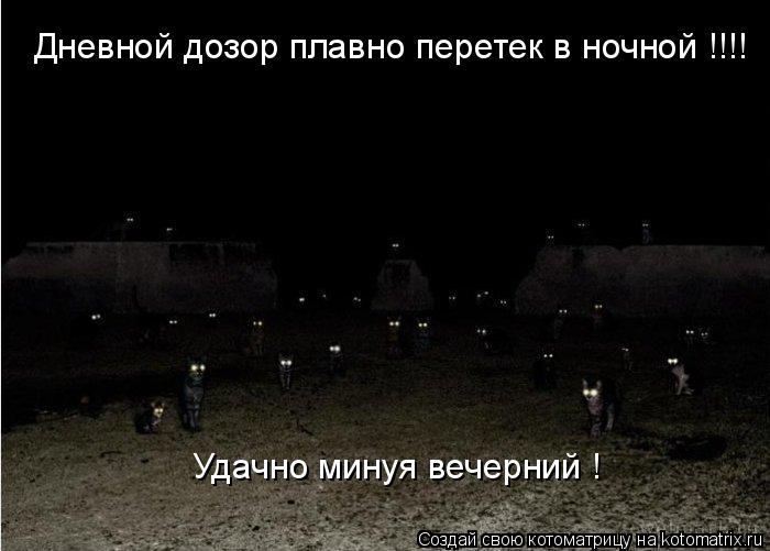 Котоматрица: Дневной дозор плавно перетек в ночной !!!! Удачно минуя вечерний !