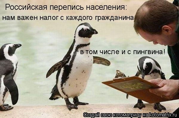 Котоматрица: Российская перепись населения:  нам важен налог с каждого гражданина в том числе и с пингвина!