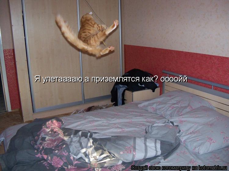 Котоматрица: Я улетааааю,а приземлятся как? оооойй