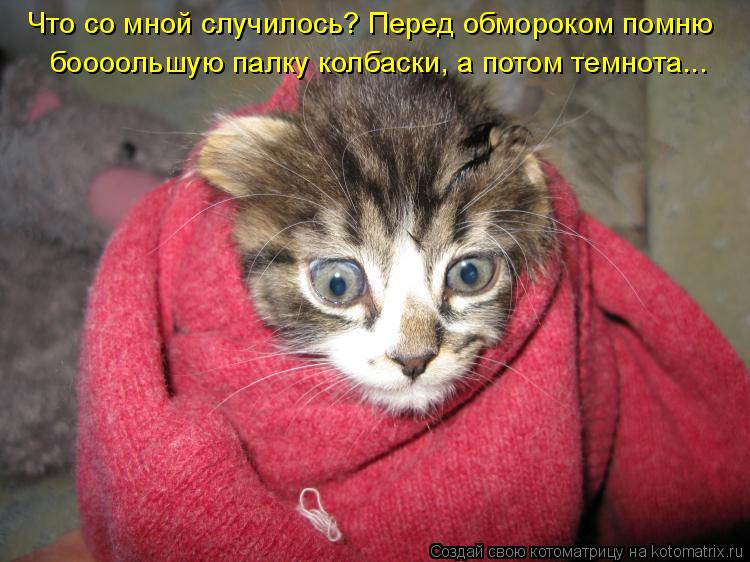Котоматрица: Что со мной случилось? Перед обмороком помню боооольшую палку колбаски, а потом темнота...