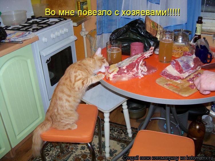 Котоматрица: Во мне повезло с хозяевами!!!!!