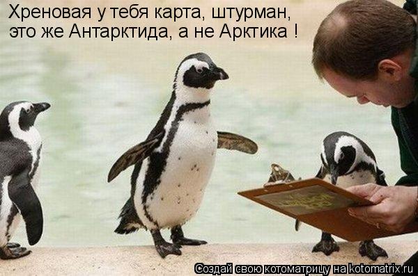 Котоматрица: Хреновая у тебя карта, штурман, это же Антарктида, а не Арктика !