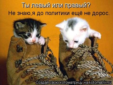 http://kotomatrix.ru/images/lolz/2011/05/11/905392.jpg