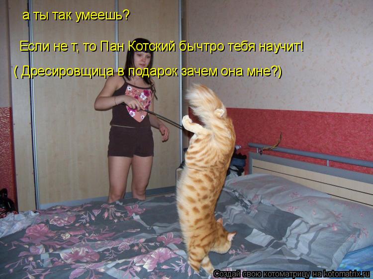 Котоматрица: а ты так умеешь?  Если не т, то Пан Котский бычтро тебя научит! ( Дресировщица в подарок зачем она мне?)