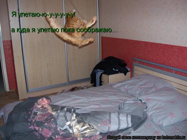 Котоматрица: Я улетаю-ю-у-у-у-у-у! а куда я улетаю пока соображаю....