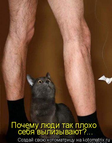Котоматрица: Почему люди так плохо себя вылизывают?...