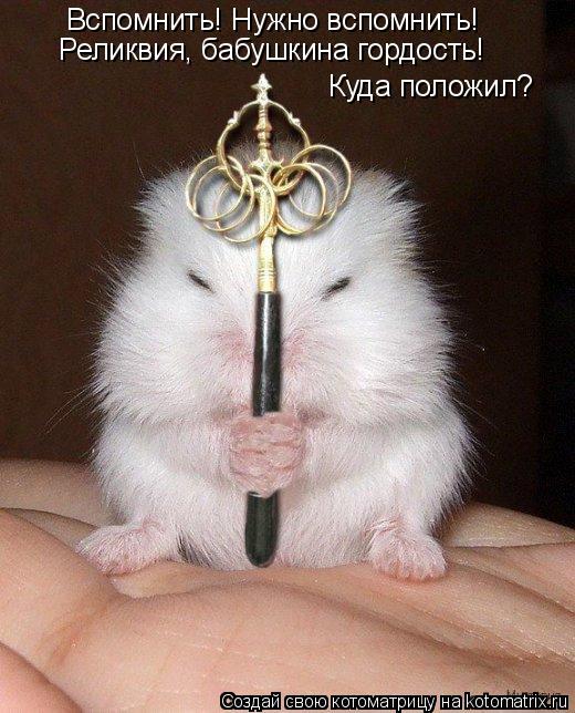 Котоматрица: Вспомнить! Нужно вспомнить! Реликвия, бабушкина гордость! Куда положил?