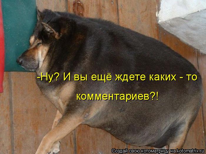 -Ну? И вы ещё ждете каких - то комментариев?!... Котоматрица: -Ну? И вы ещё ждете каких - то комментариев?!
