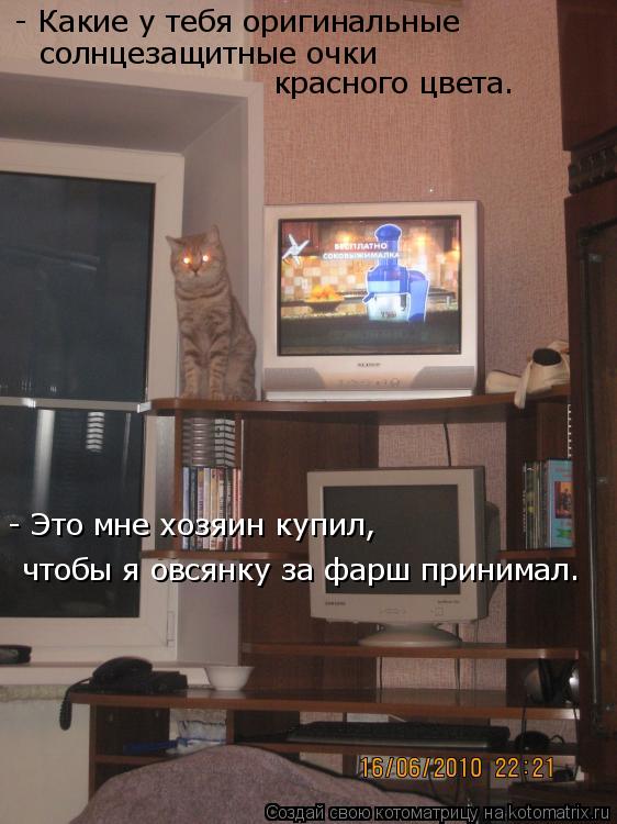 чтобы я овсянку за фарш принимал. - Это мне хозяин купил, солнцезащитные очки красного цвета… - Ка... Котоматрица: чтобы я овсянку за фарш принимал. - Это мне хозяин купил, солнцезащитные очки красного цвета… - Какие у тебя оригинальные