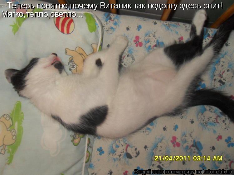 --Теперь понятно,почему Виталик так подолгу здесь спит! Мягко,тепло,светло...... Котоматрица: --Теперь понятно,почему Виталик так подолгу здесь спит! Мягко,тепло,светло...