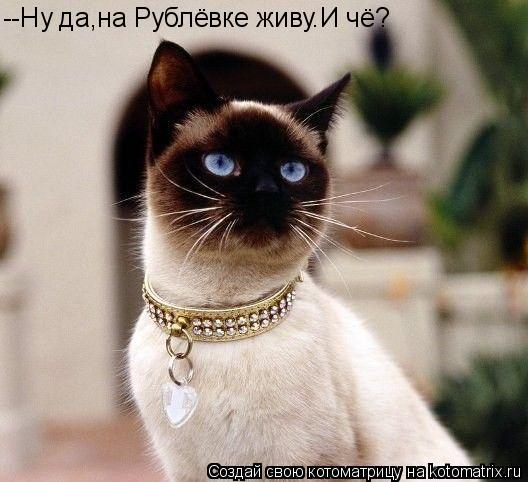--Ну да,на Рублёвке живу.И чё?... Котоматрица: --Ну да,на Рублёвке живу.И чё?