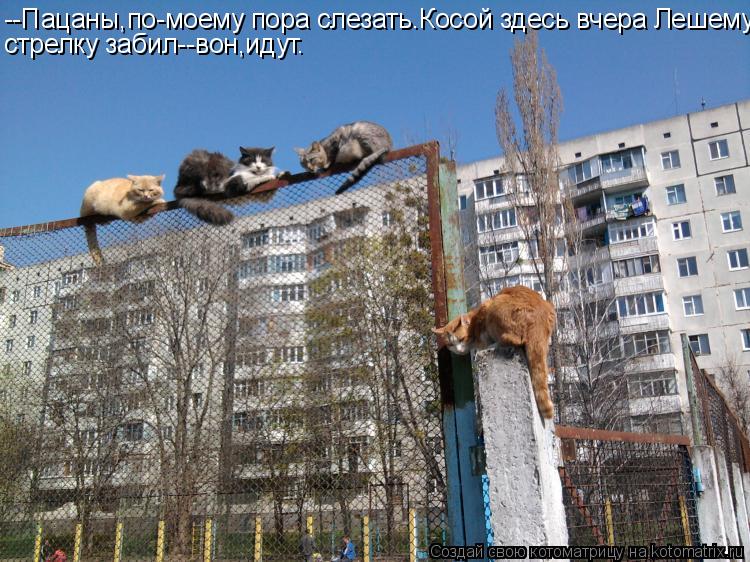 --Пацаны,по-моему пора слезать.Косой здесь вчера Лешему стрелку забил--вон,идут.... Котоматрица: --Пацаны,по-моему пора слезать.Косой здесь вчера Лешему стрелку забил--вон,идут.
