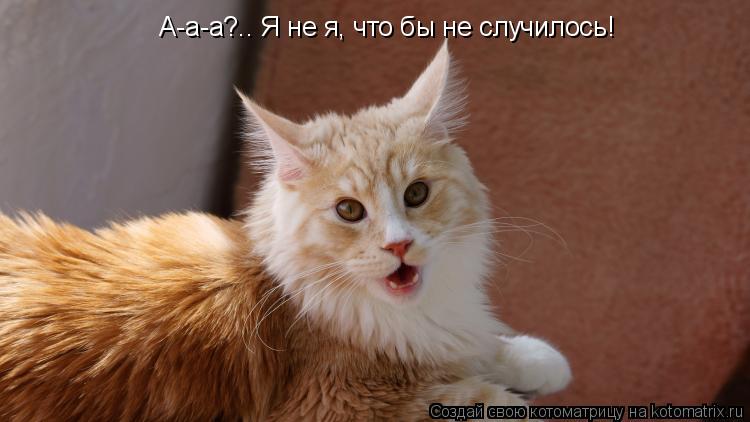А-а-а?.. Я не я, что бы не случилось!... Котоматрица: А-а-а?.. Я не я, что бы не случилось!