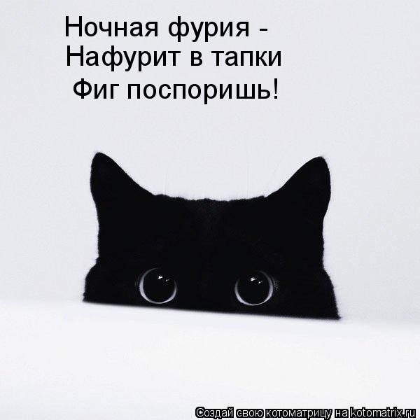 Ночная фурия Нафурит в тапки - Фиг поспоришь!... Котоматрица: Ночная фурия Нафурит в тапки - Фиг поспоришь!