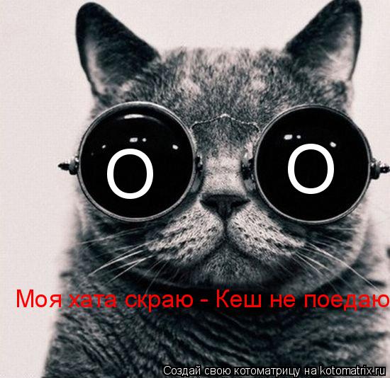 О О Моя хата скраю - Кеш не поедаю... Котоматрица: О О Моя хата скраю - Кеш не поедаю