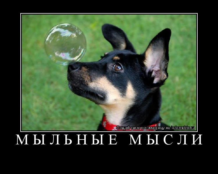 Котоматрица: Мыльные Мысли 
