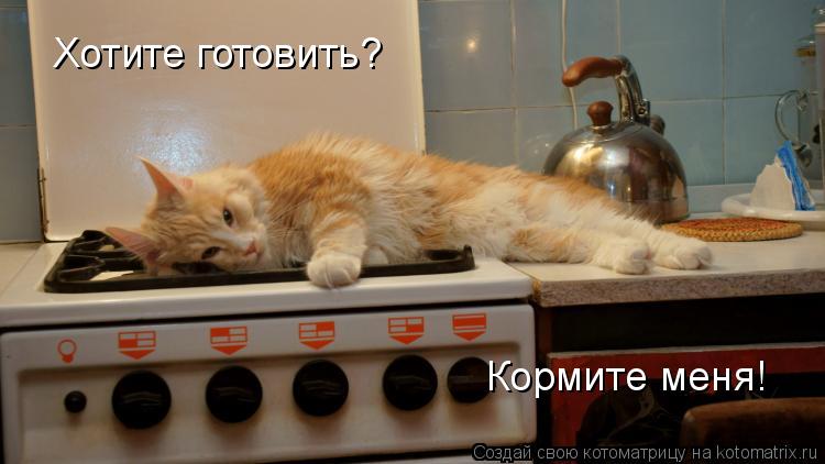 Хотите готовить? Кормите меня!... Котоматрица: Хотите готовить? Кормите меня!
