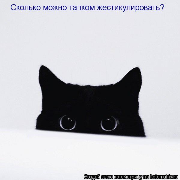 Сколько можно тапком жестикулировать?... Котоматрица: Сколько можно тапком жестикулировать?