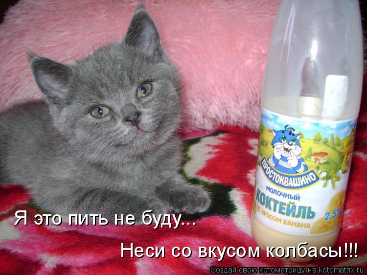 Я это пить не буду... Неси со вкусом колбасы!!!... Котоматрица: Я это пить не буду... Неси со вкусом колбасы!!!