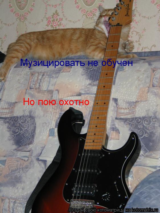 Музицировать не обучен Но пою охотно... Котоматрица: Музицировать не обучен Но пою охотно