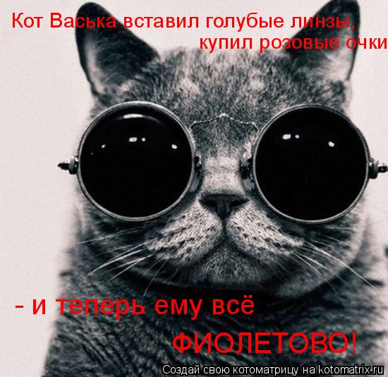 Кот Васька вставил голубые линзы, купил розовые очки - и теперь ему всё ФИОЛЕТОВО!... Котоматрица: Кот Васька вставил голубые линзы, купил розовые очки - и теперь ему всё ФИОЛЕТОВО!