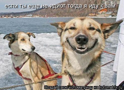 если ты еще не идиот тогда я иду к вам... Котоматрица: если ты еще не идиот тогда я иду к вам