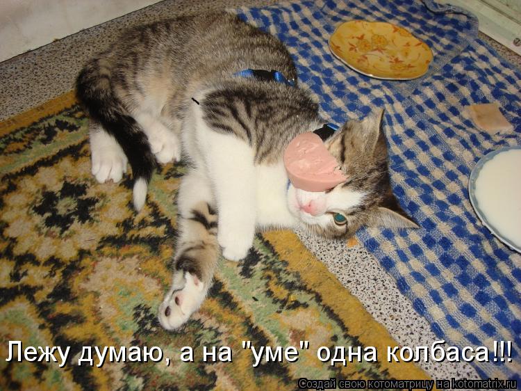 Лежу думаю, а на "уме" одна колбаса!!!... Котоматрица: Лежу думаю, а на "уме" одна колбаса!!!