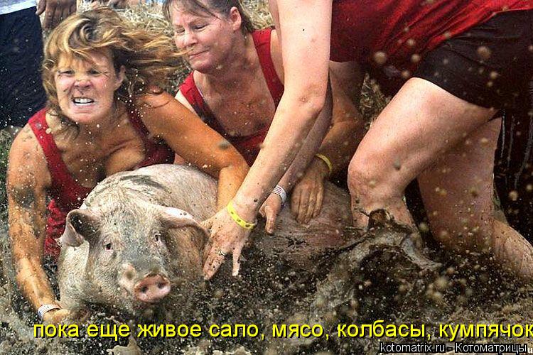 пока еще жівое сало, мясо колбасы кумпячок пока еще жівое сало, мясо колбасы кумпячок пока еще жівое ... Котоматрица: пока еще жівое сало, мясо колбасы кумпячок пока еще жівое сало, мясо колбасы кумпячок пока еще жівое сало, мясо колбасы кумпячок пока еще жи