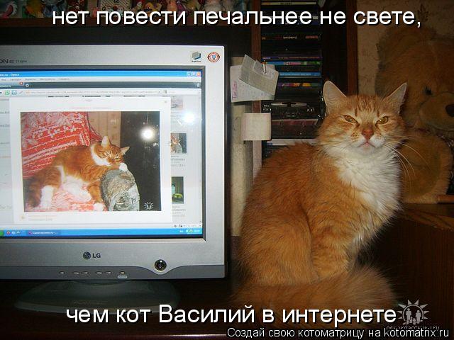 нет повести печальнее не свете, чем кот Василий в интернете... Котоматрица: нет повести печальнее не свете, чем кот Василий в интернете